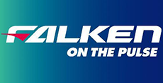 falkentires
